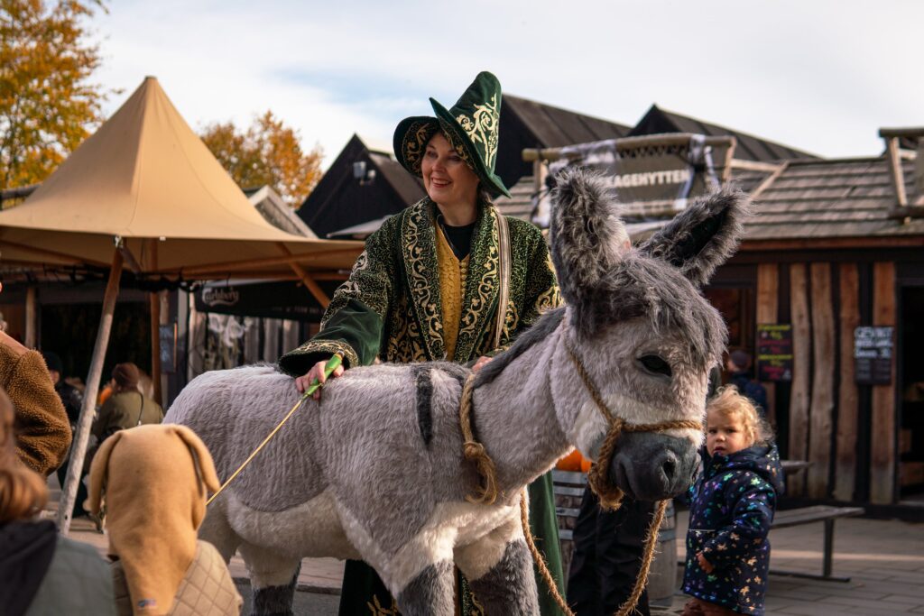 Elly Æsel er en fortryllet pige 